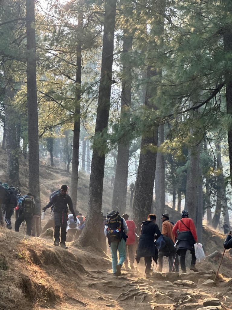 Group Hike