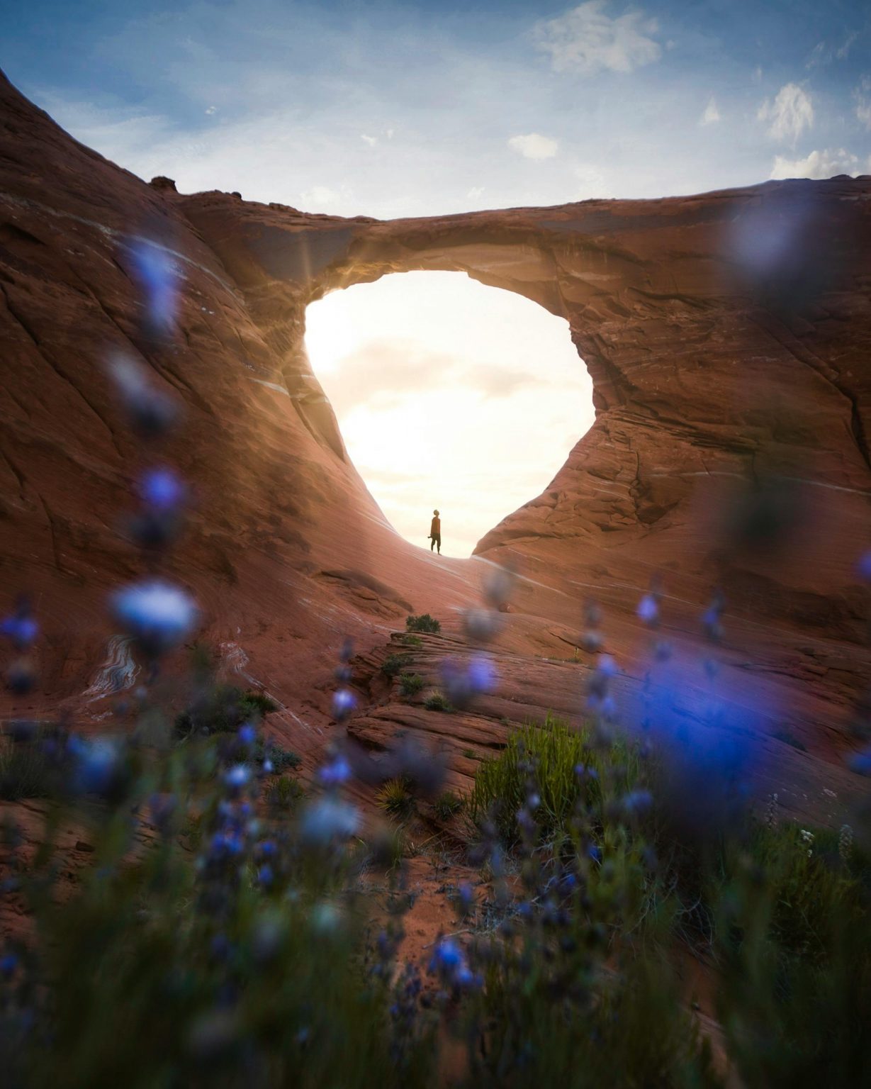 Hiking Explorer